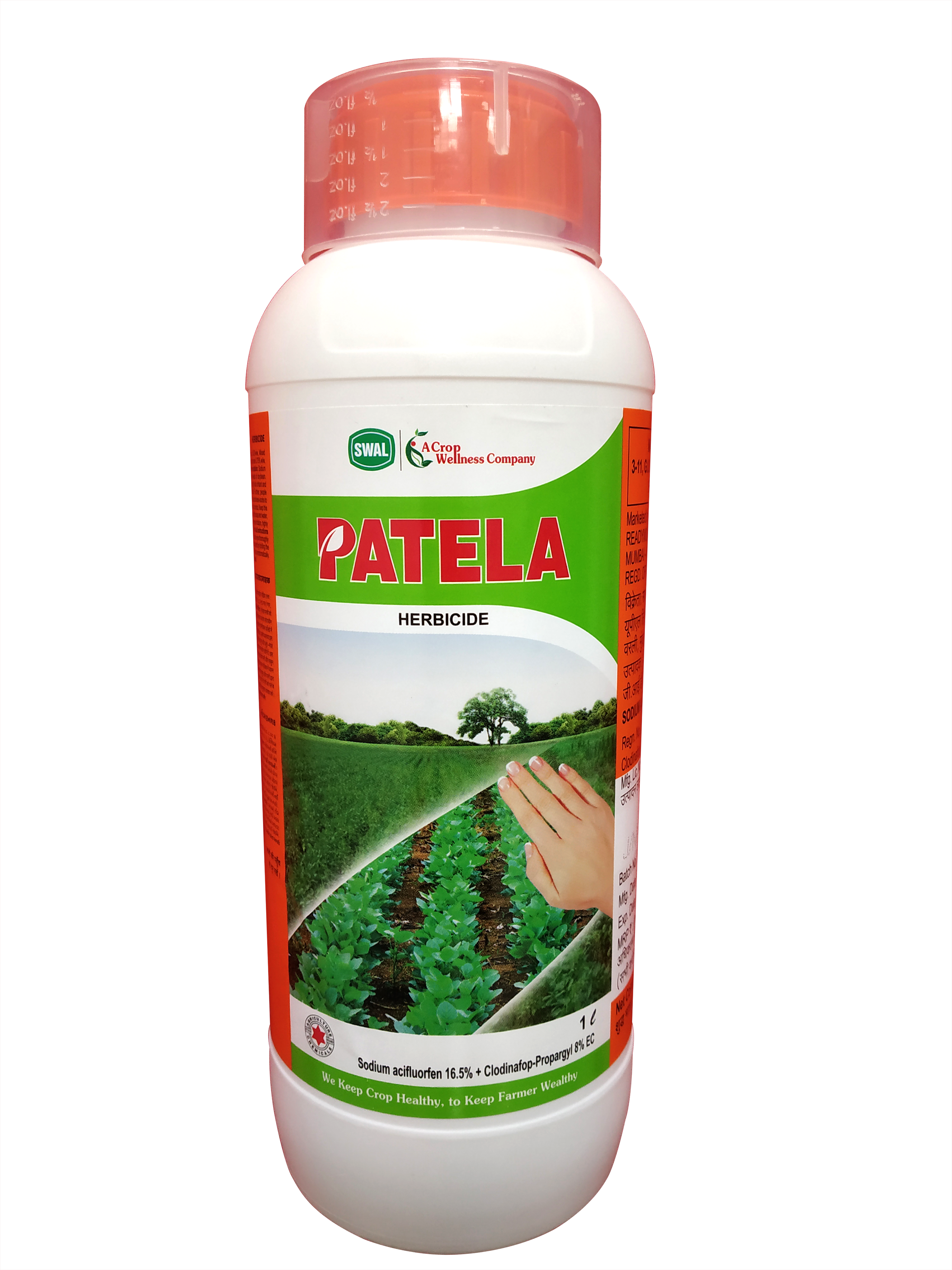 Patela 