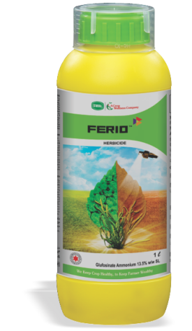 Ferio 