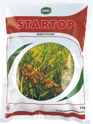 Startop