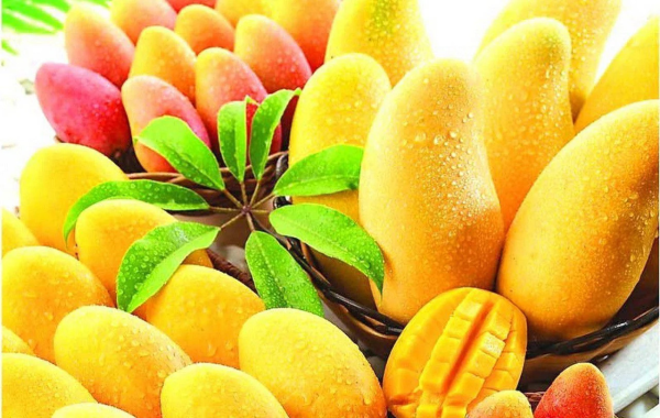 About us - Fruit Image