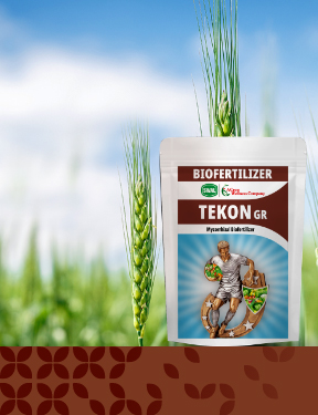 TEKON banner