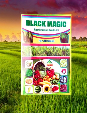 Land Preparation & Soil Health