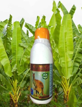 Land Preparation & Soil Health